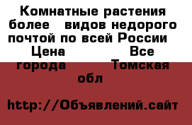 Комнатные растения более200видов недорого почтой по всей России › Цена ­ 100-500 - Все города  »    . Томская обл.